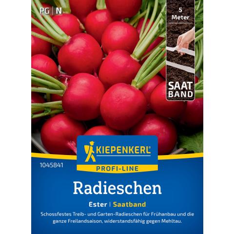 Radieschen 'Ester' (Saatband)