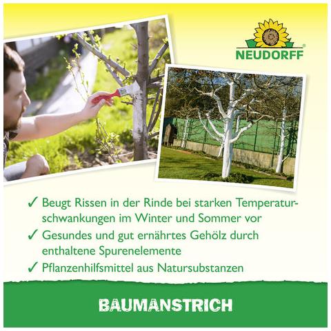 Bio-Baumanstrich (Pflegecreme für Bäume)