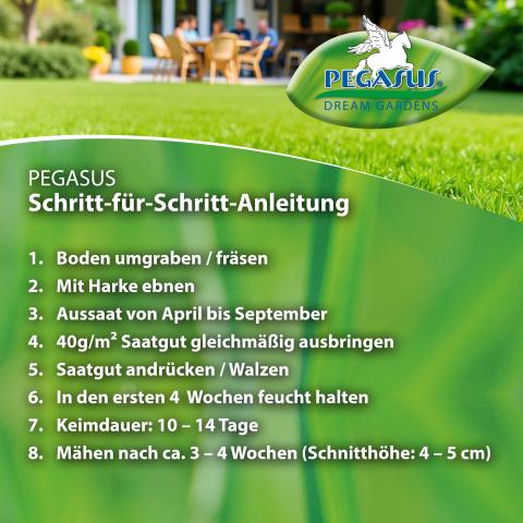 Berliner Tiergarten Rasen-Saatgut ab 1kg