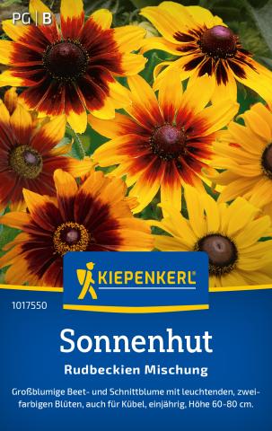 Sonnenhut - Rudbeckienmischung