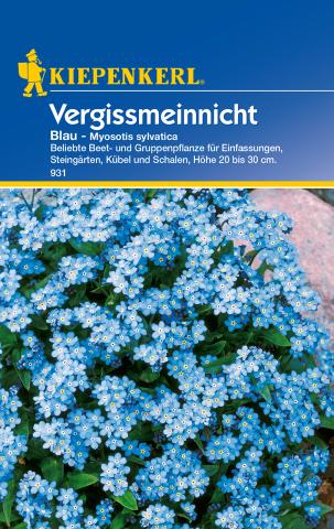 Blaues Vergissmeinnicht