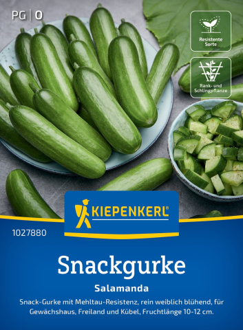 Saatgut Snackgurke