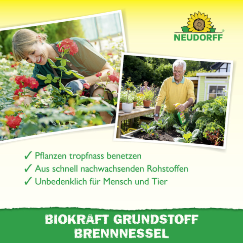 Brennnessel-Extrakt
