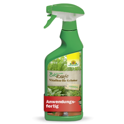 Vitalkur für Kräuter