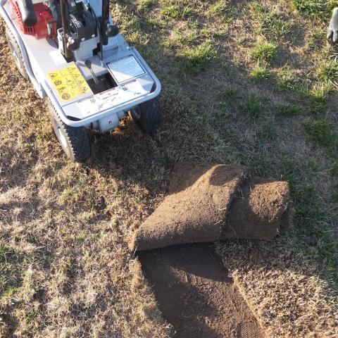 alten Rasen mühelos entfernen