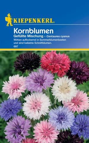 Bunte Kornblumen-Mischung