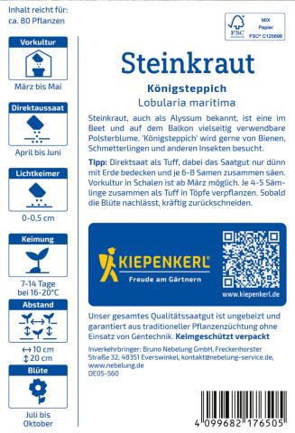 Steinkraut "Königsteppich" violett