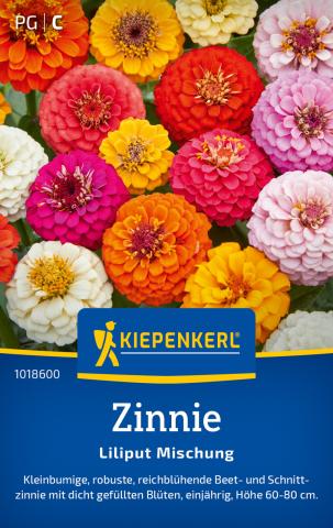 Zinnie "Liliput Mischung" 