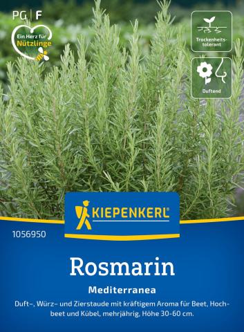Rosmarin "Mediterranea"