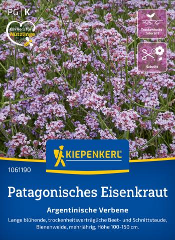 Patagonisches Eisenkraut "Argentinische Verbene"