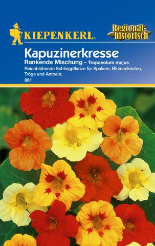 Kapuzinerkresse - rankend, essbar