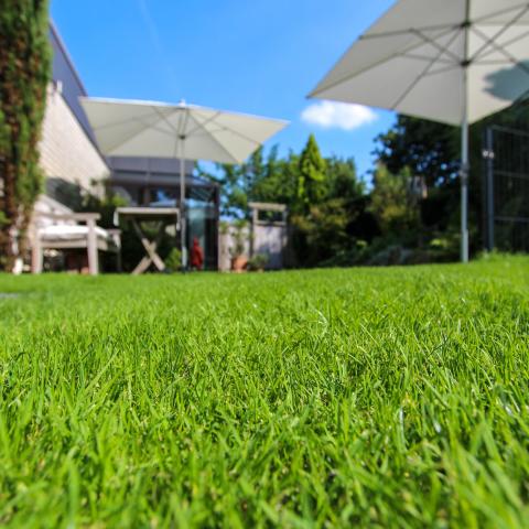 Saatgut Gebrauchsrasen RSM 2.3