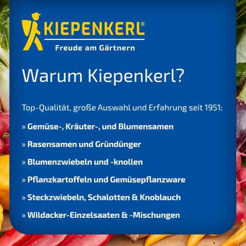 Böschungsansaat mit Klee 10kg