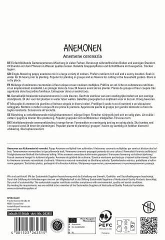 15 Anemonen 'De Caen Mischung'