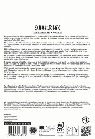 Summer Mix "Dichelostemma & Homeria"