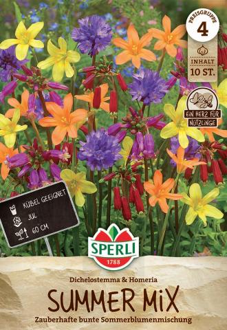 Summer Mix "Dichelostemma & Homeria"