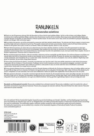 8 Ranunkeln 'Rosa'