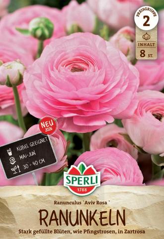 8 Ranunkeln 'Rosa'