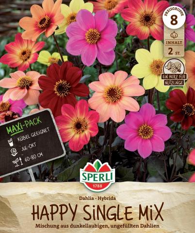 2 Dahlien "Happy Single Mix"
