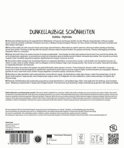 2 Dahlien "Dunkellaubige Schönheiten"