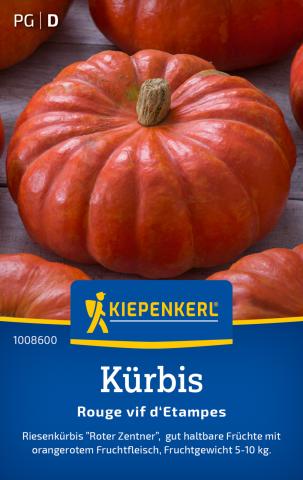 Kürbis 'Rouge vif d'Etampes'