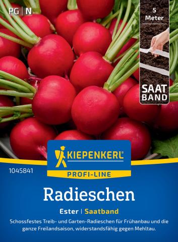 Radieschen 'Ester' (Saatband)