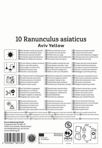 10 Ranunkeln 'Aviv Gelb'