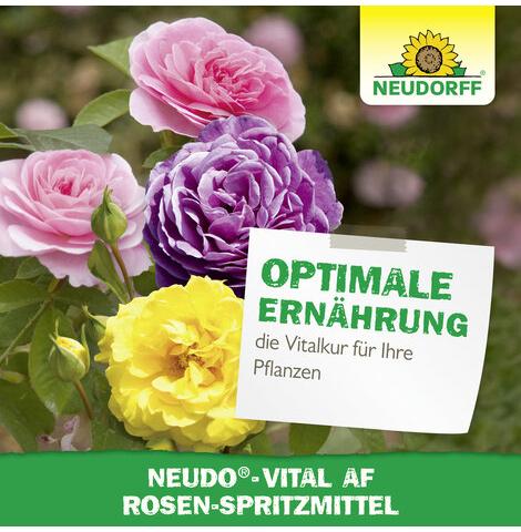 Neudo-Vital AF Rosen-Spritzmittel