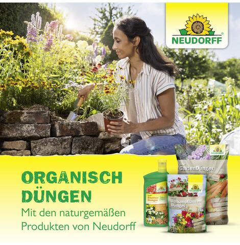 Azet® Zitrus- & Mediterranpflanzen-Dünger