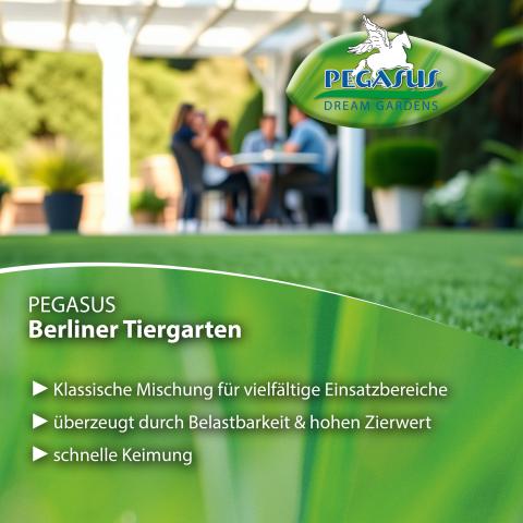 Berliner Tiergarten (Gebrauchsrasen) ab 1kg