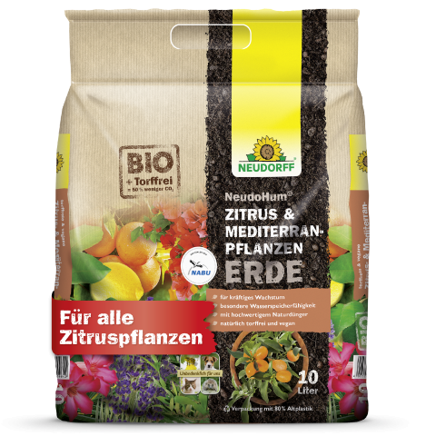 Zitrus- & Mediterranpflanzenerde 10l