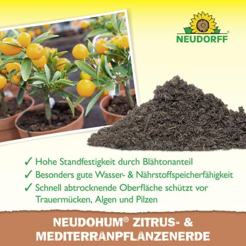 Zitrus- & Mediterranpflanzenerde 10l